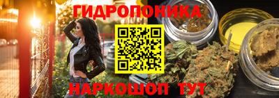 эйфоретик Бузулук