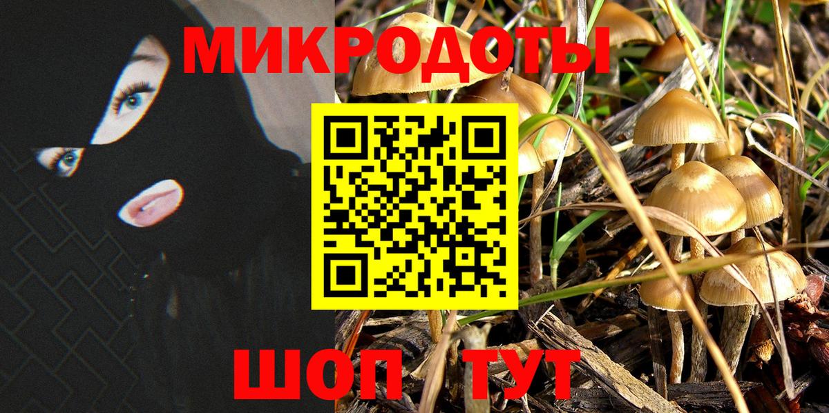 Псилоцибиновые грибы прущие грибы Пугачёв