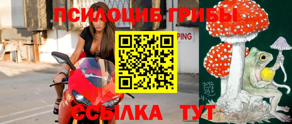 Галлюциногенные грибы Psilocybine cubensis  Вход с VPN  Пугачёв  Галлюциногенные грибы мухоморы 